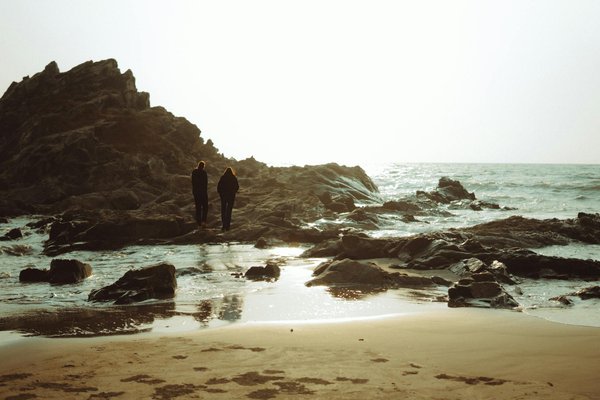 Découvrez le Palais de Versailles : Votre Manuel Indispensable pour une Visite Privée Mémorable